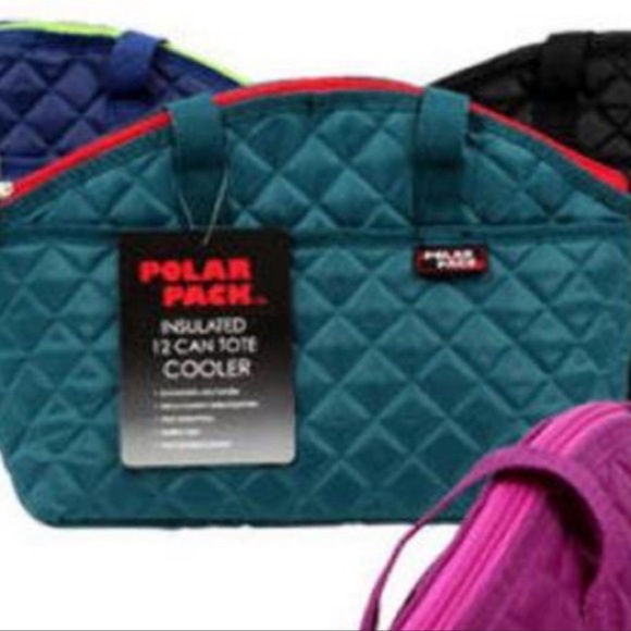 BEER BUNDLE 12 CAN INSULATED TOTE AND GROWLER TOTE - Picture 5 of 7